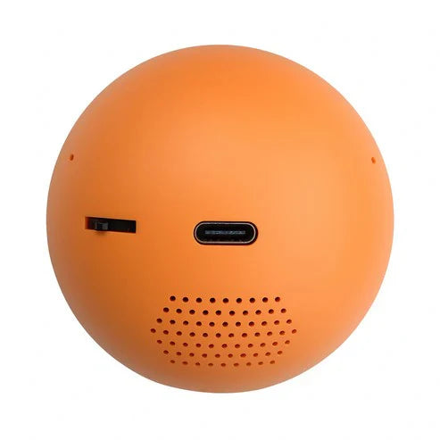 Rulken® Personalized Video Crystal Ball
